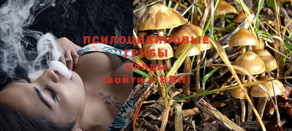 MDMA Premium VHQ Касимов