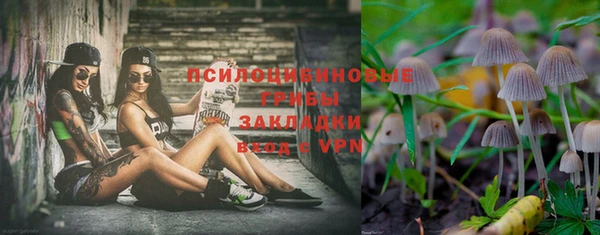 таблы Инта